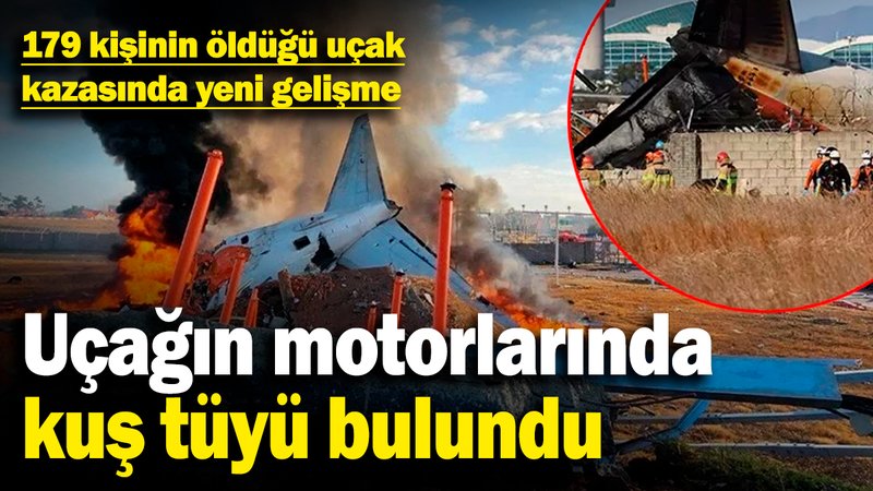 Güney Kore'de 179 kişinin öldüğü uçak kazasında yeni gelişme! Uçağın motorlarında kuş tüyü bulundu