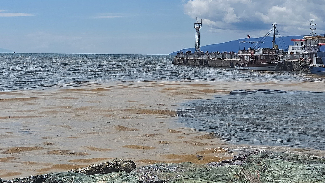 Gemlik Körfezi'nde müsilaj kabusu sürüyor! Balıkçılar denize açılamadı