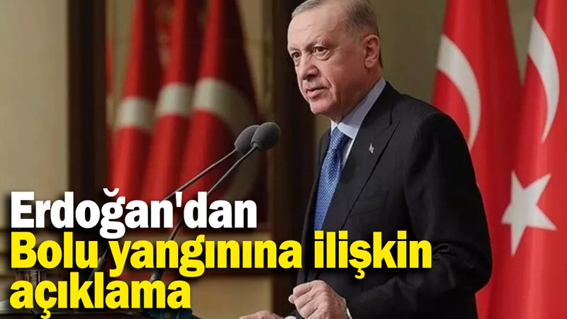 Erdoğan'dan Bolu yangınına ilişkin açıklama