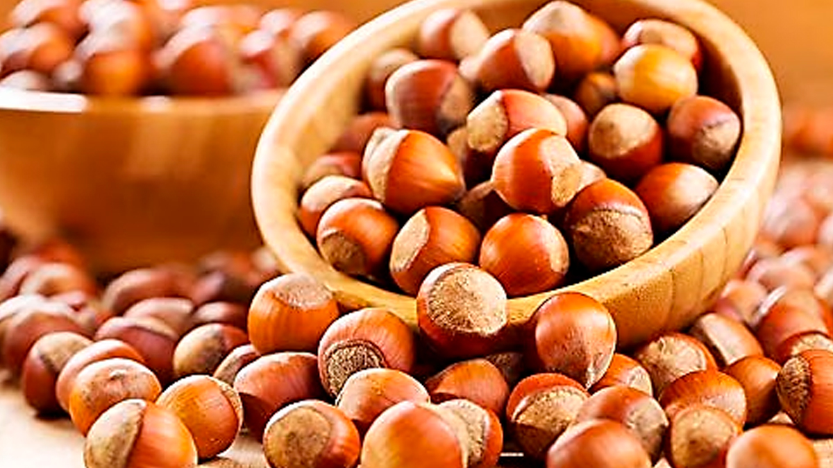 TMO’dan fındık hamlesi! Üretici ve sanayici için fiyatlar belli oldu