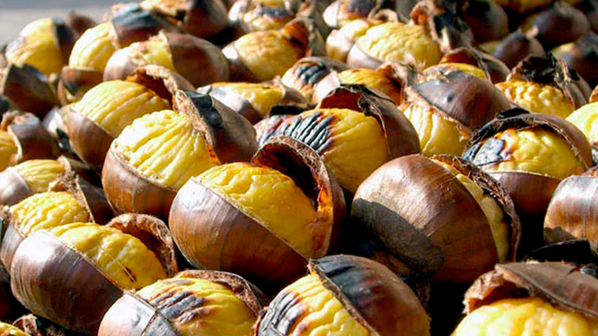 Türkiye'de kestane bolluğu! Üretimi bir önceki yıla göre arttı