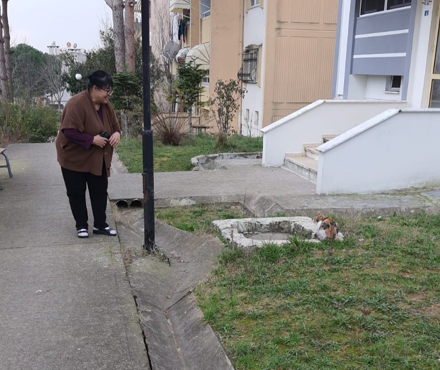 Çatıda 10 gündür mahsur kalan kediyi kurtardılar