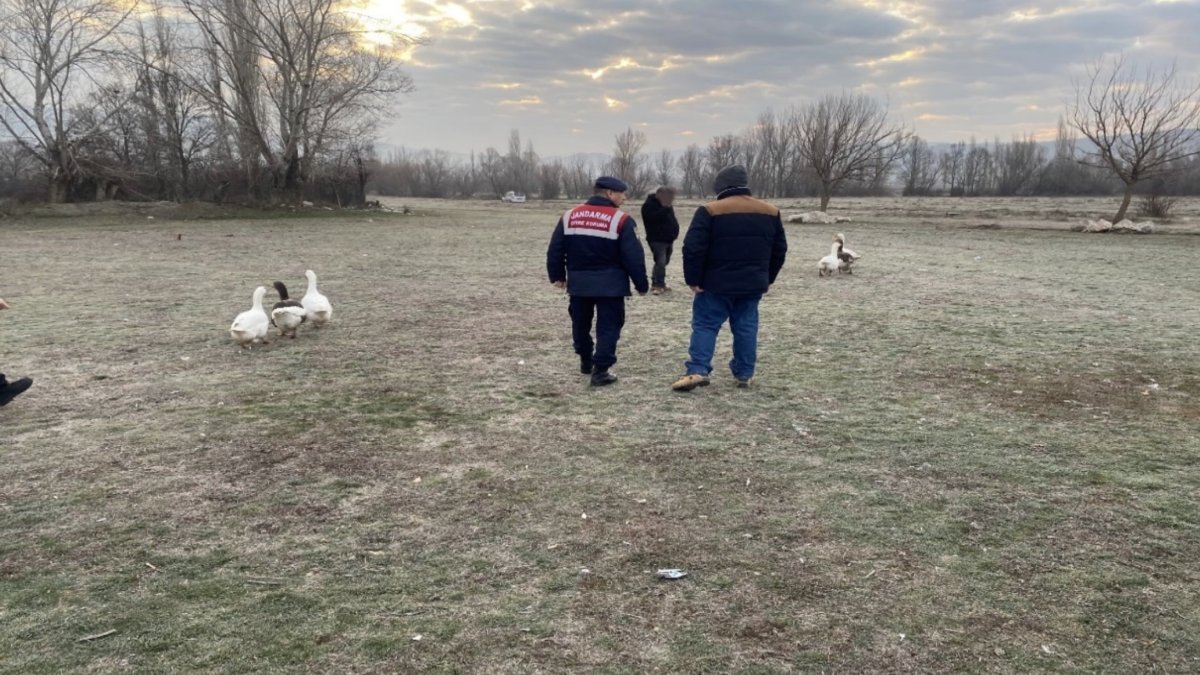 Çorum'da kaz dövüşü yaptıranlara suçüstü baskın