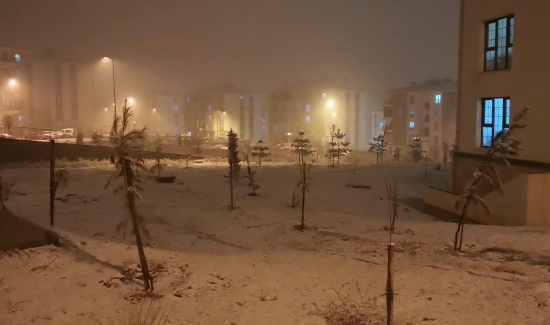 Elazığ'da yoğun kar yağışı etkili oluyor
