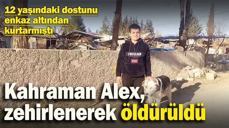 12 yaşındaki dostunu enkazdan kurtarmıştı! Kahraman Alex, zehirlenerek öldürüldü