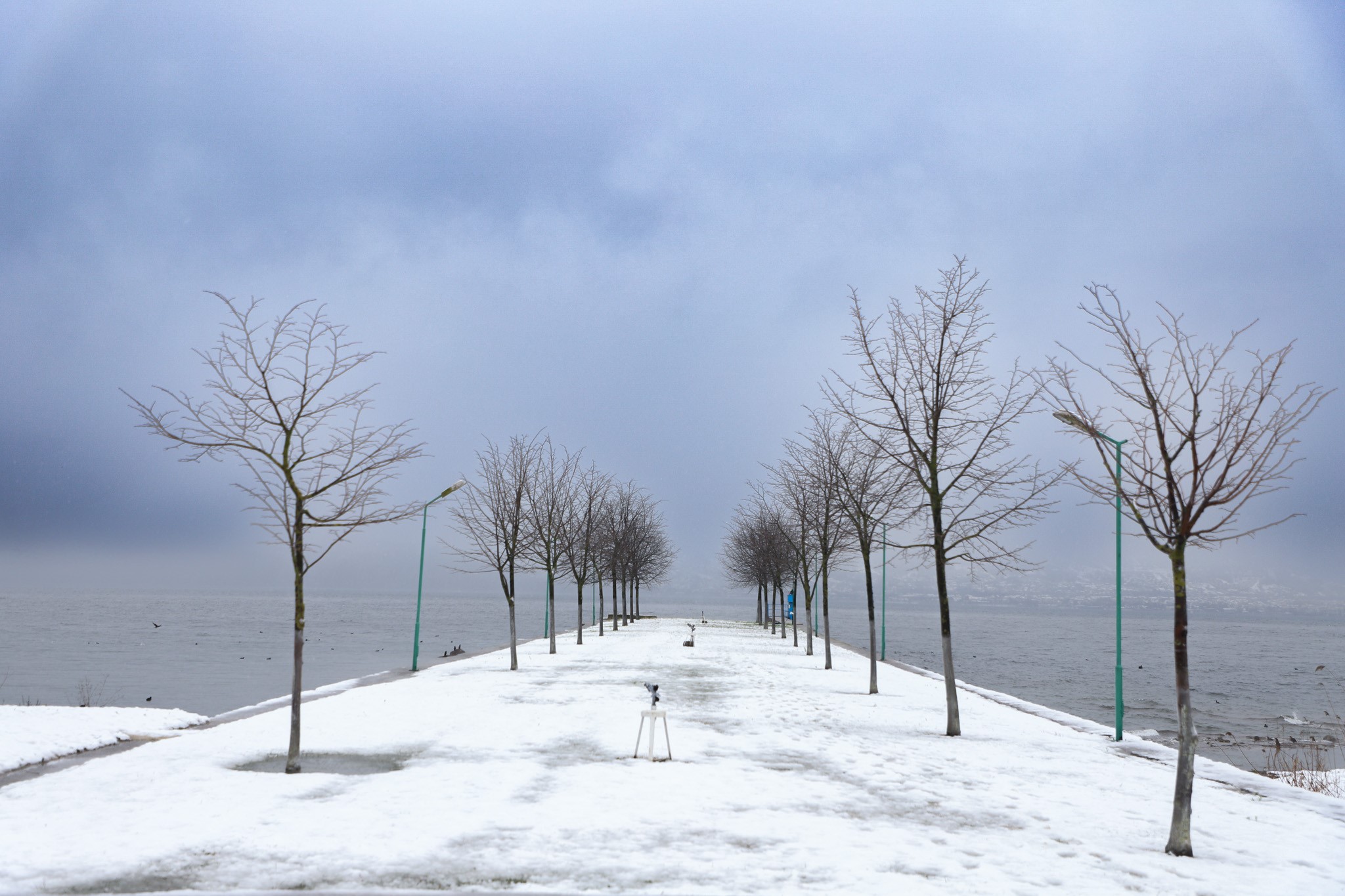 Sapanca Gölü’nde yoğun kar yağışı! Ortaya kartpostallık görüntüler çıktı