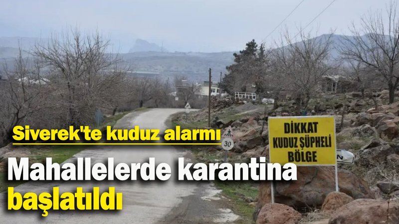 Siverek'te kuduz alarmı: Mahallelerde karantina başlatıldı