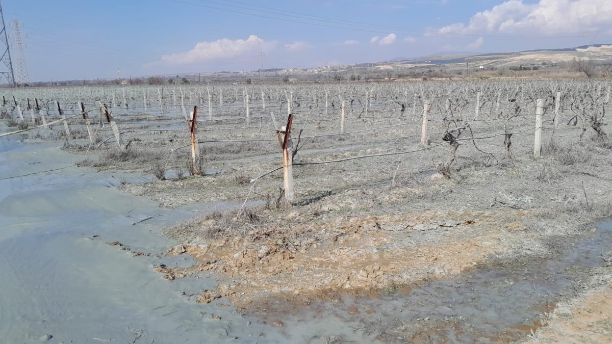 Manisa'da üzüm bağında korkutan patlama! Yoğun gaz ve su çıkışı gözlendi