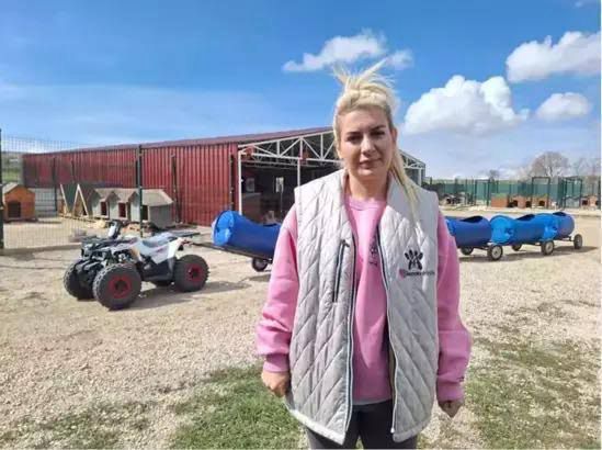 Sokak hayvanları derneğine 'haksız kazanç' davası; 14 sanığa 7’şer yıl hapis istemi