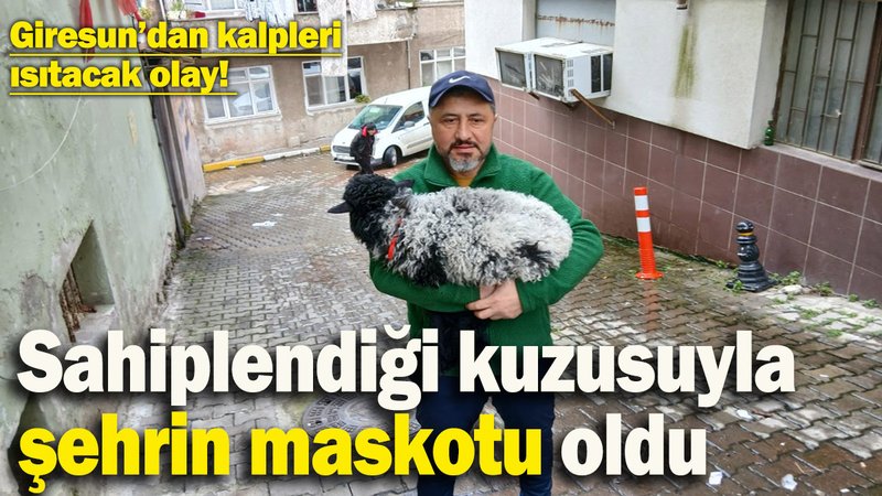 Sahiplendiği kuzusuyla şehrin maskotu oldu! Giresun’dan kalpleri ısıtacak olay