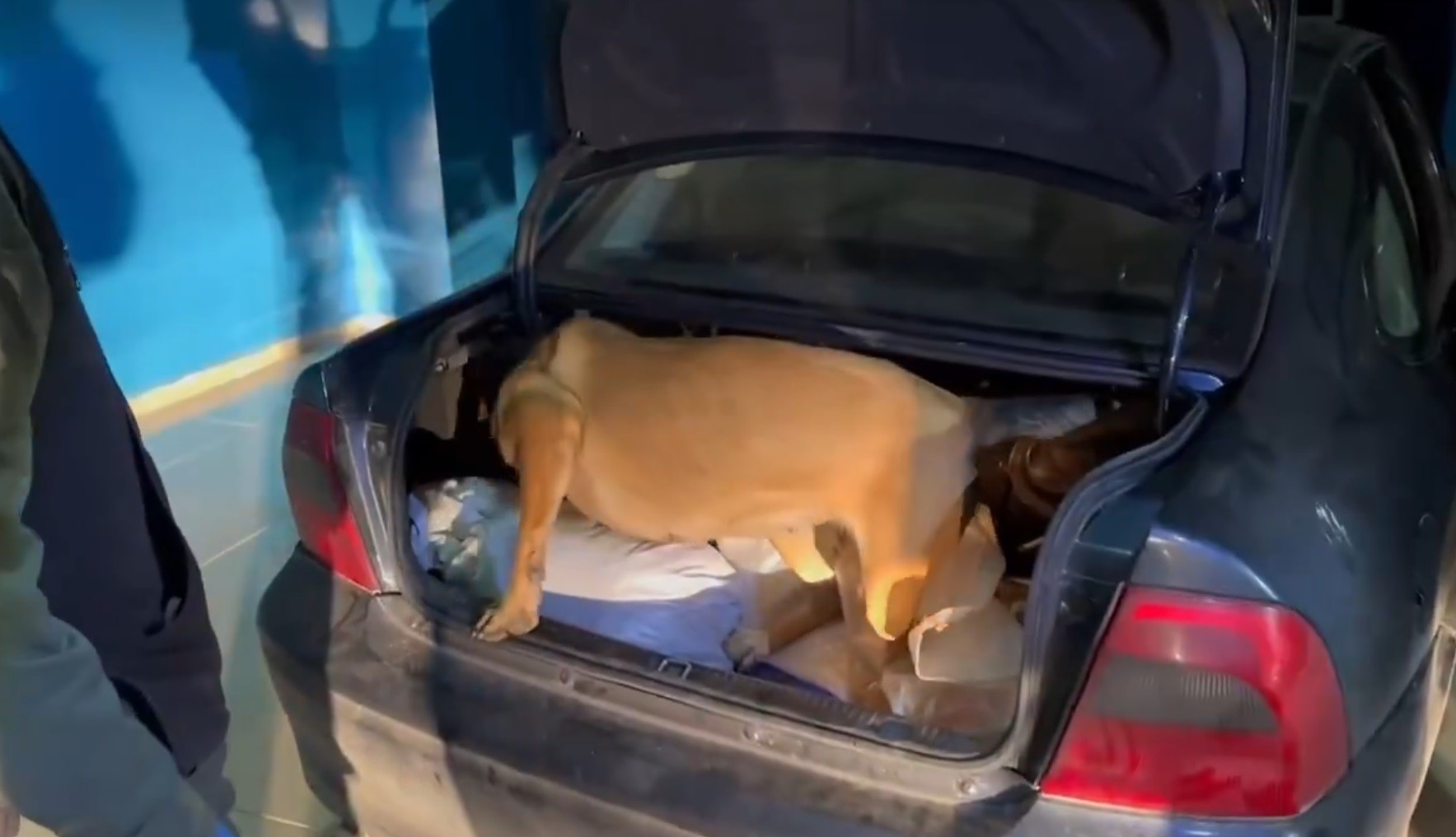 Bingöl'de uyuşturucu operasyonu! 2 şahıs gözaltına alındı