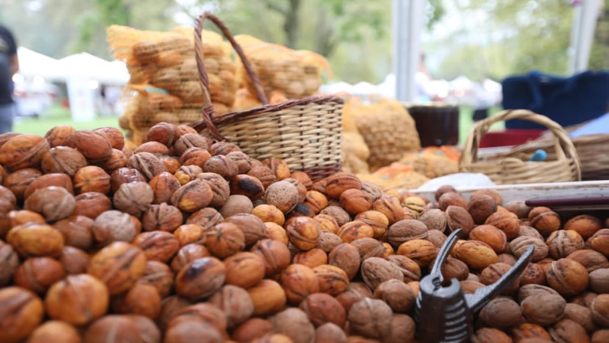 "Sapanca cevizi" coğrafi işaret tescili aldı