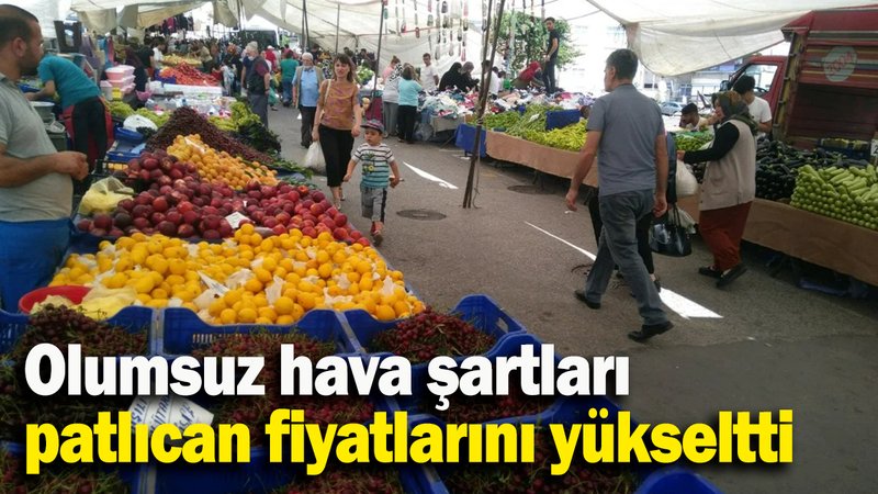 Olumsuz hava şartları patlıcan fiyatlarını yükseltti