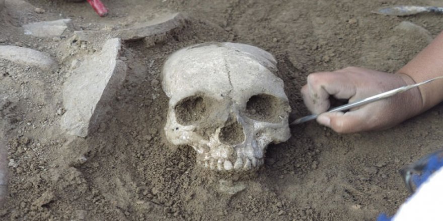 Çorum'daki kazıda, 3 bin 500 yıllık kafatası bulundu