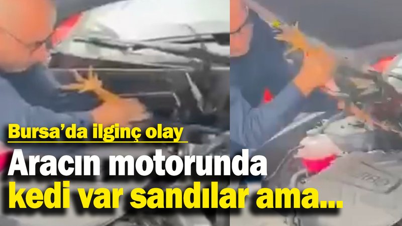 Aracın motorunda  kedi var sandılar ama...
