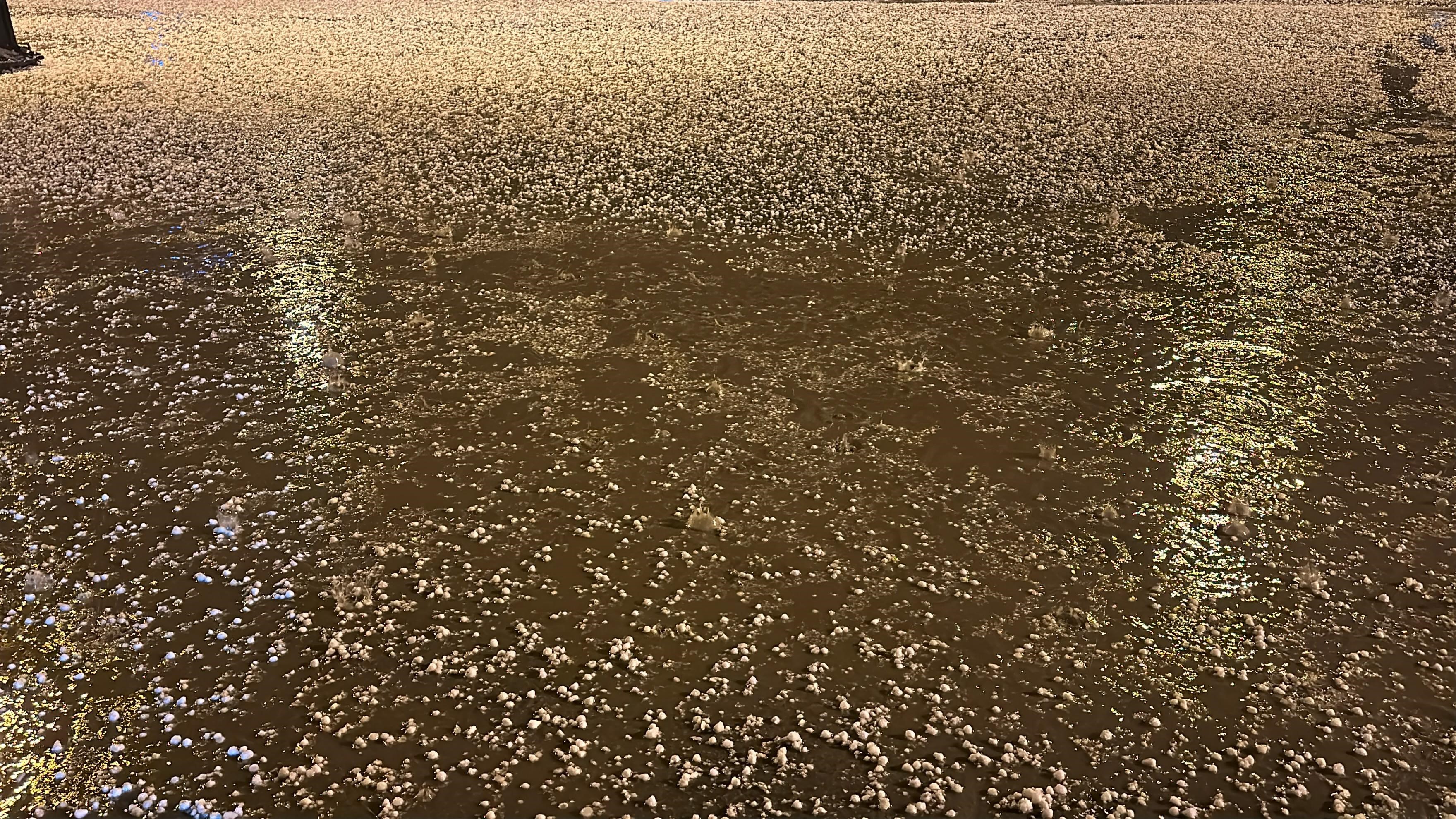 Uşak'ta dolu yağışı etkili oldu