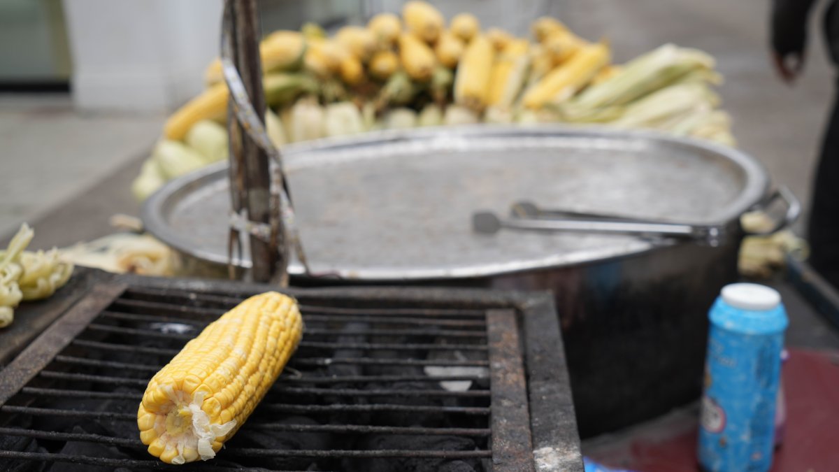 Samsun'da erkenci süt mısır tezgahta: Közde 60, haşlamada 50 TL