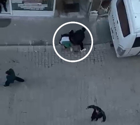 Elinde torpil patlayan çocuk ağır yaralandı