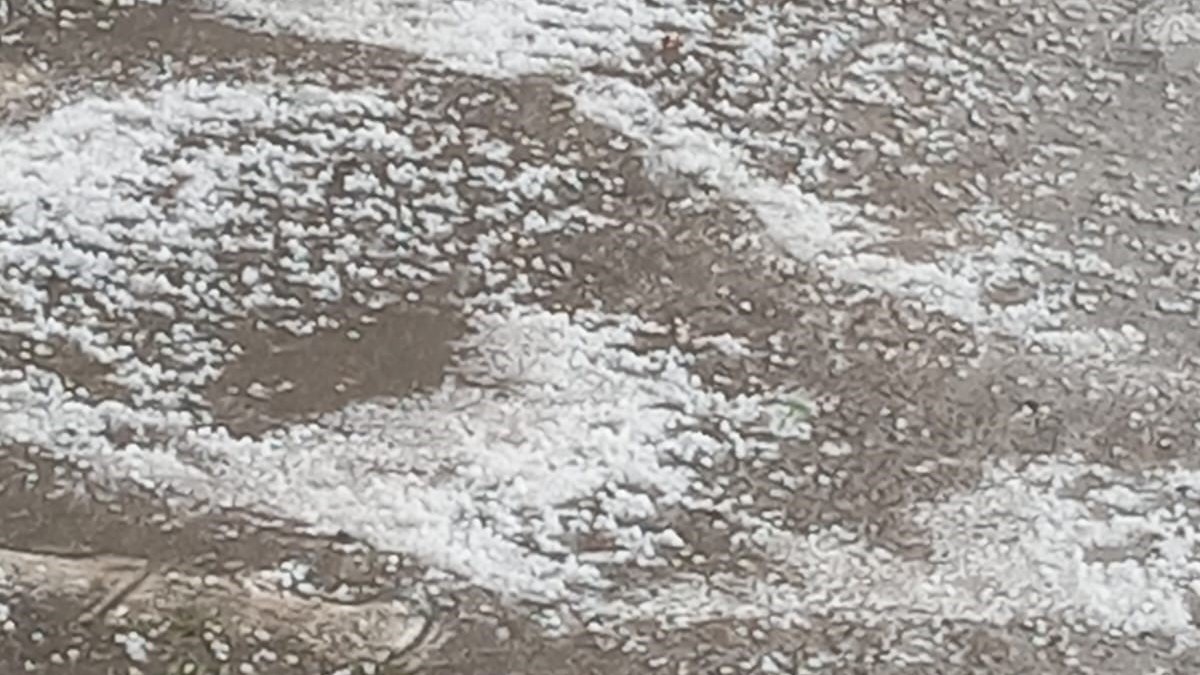 Elazığ’da dolu yağışı: Meyve ağaçları ve ekinler zarar gördü