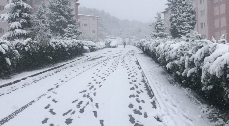 Bilecik kara teslim oldu: Bazı köy yolları ulaşıma kapandı