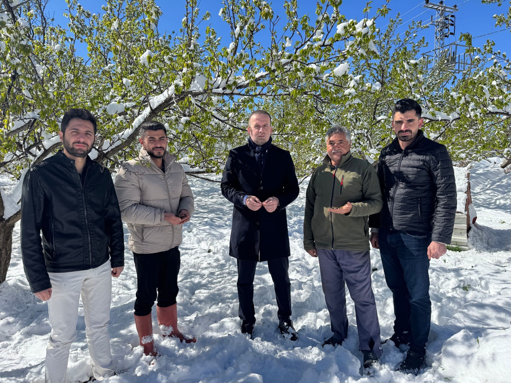 Malatya’da kayısı da don felaketi: Afet bölgesi ilanı çağrısında bulunuldu