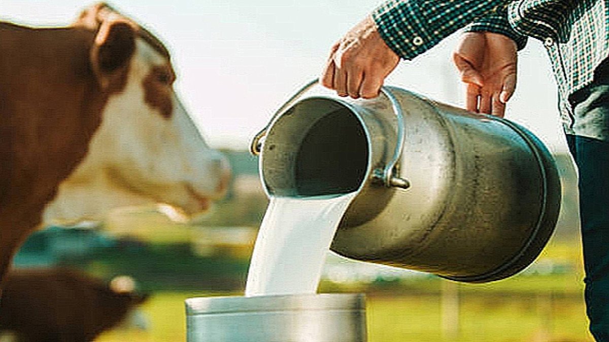 TÜİK, şubat ayı süt ve süt ürünleri üretimi verilerini açıkladı