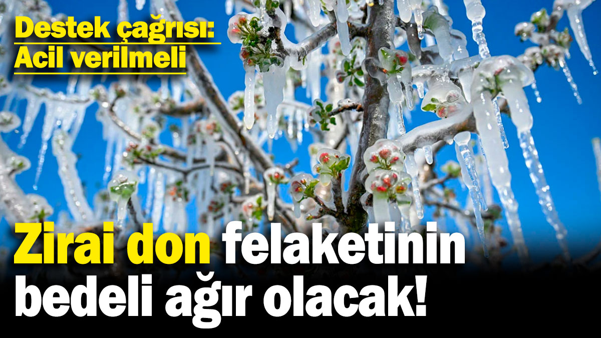Zirai don felaketinin bedeli ağır olacak! Destek çağrısı: Acil verilmeli