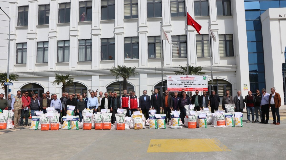 Yalova'da çiftçiye 1 ton 890 kilo ayçiçeği tohumu dağıtıldı