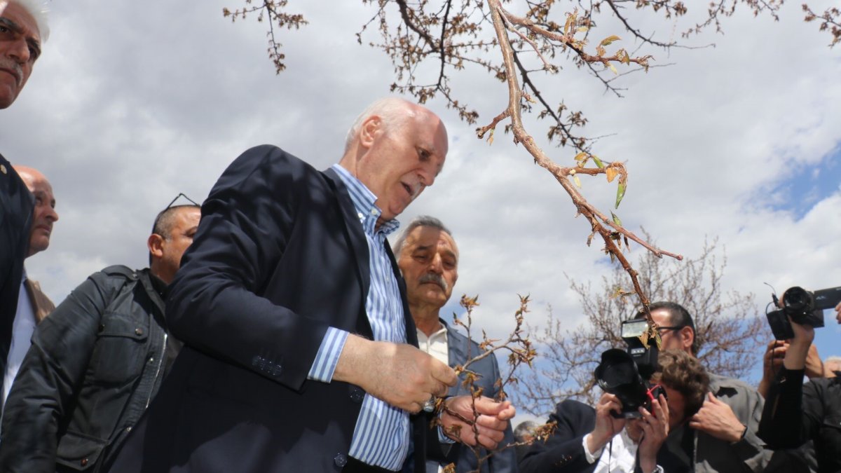 TZOB Genel Başkanı Bayraktar: "Kayısıda yüzde yüzlere varan zarar tespit ettik"