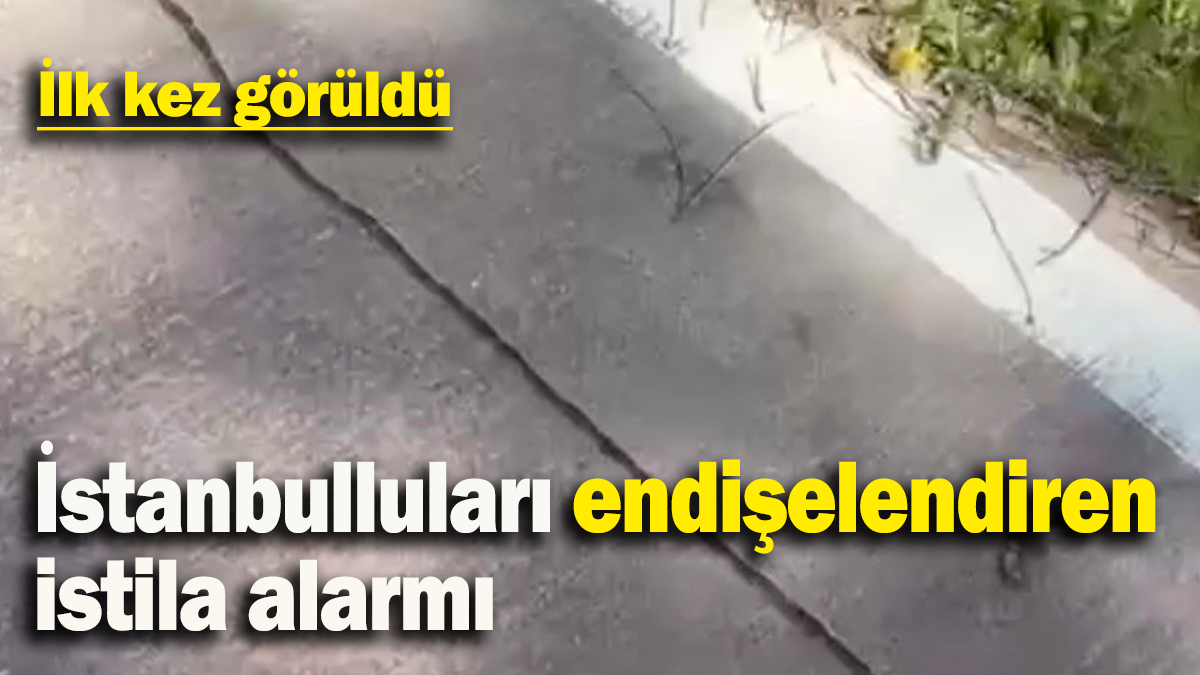 İstanbulluları endişelendiren istila alarmı