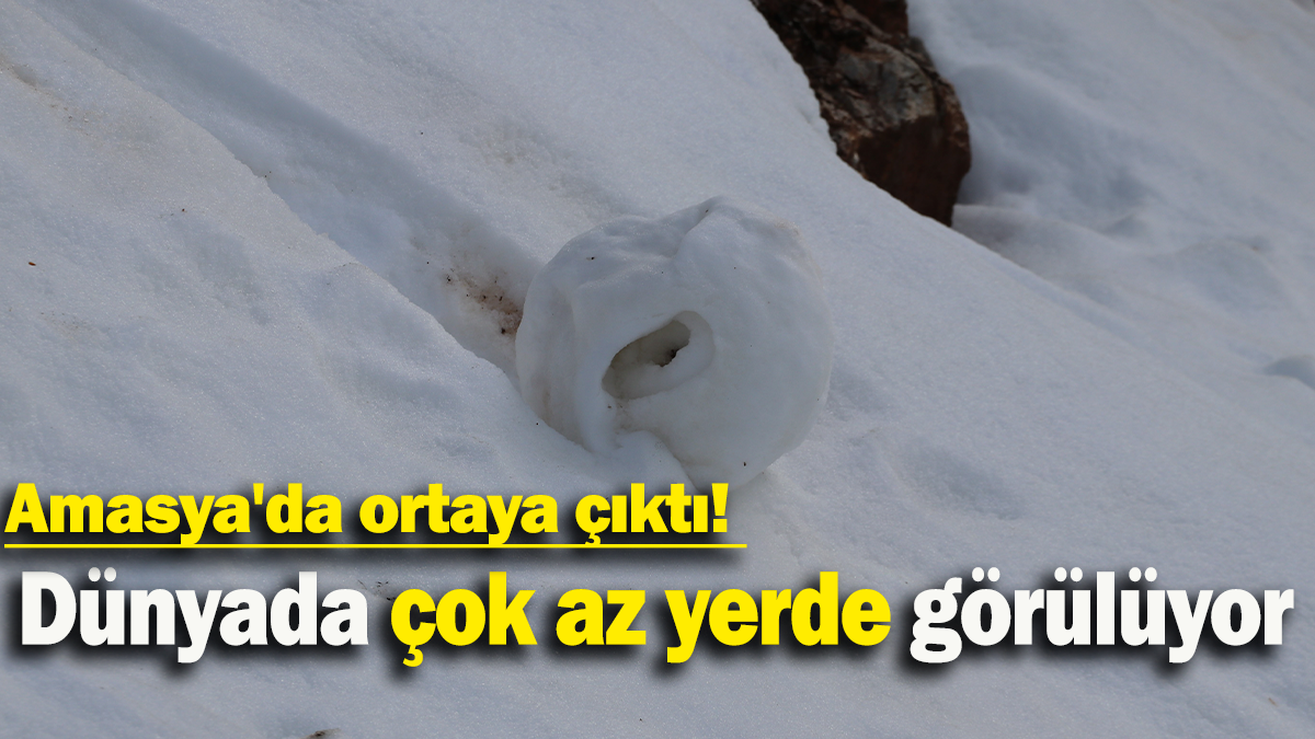 Amasya'da ortaya çıktı: Dünyada çok az yerde görülüyor
