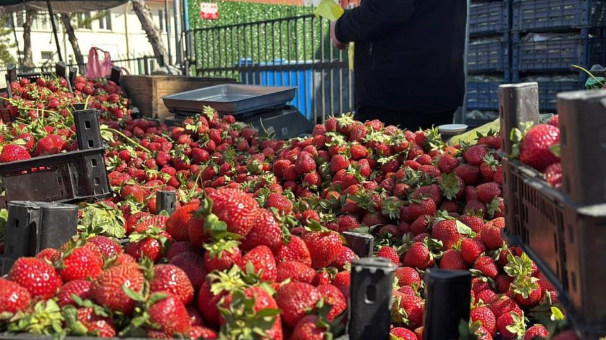 Zirai donun ardından pazarda çilek bolluğu!