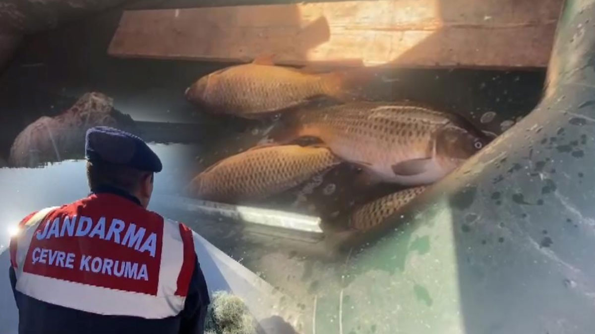 Kaçak avcılara barajda operasyon: 3 şahsa 113 bin lira ceza