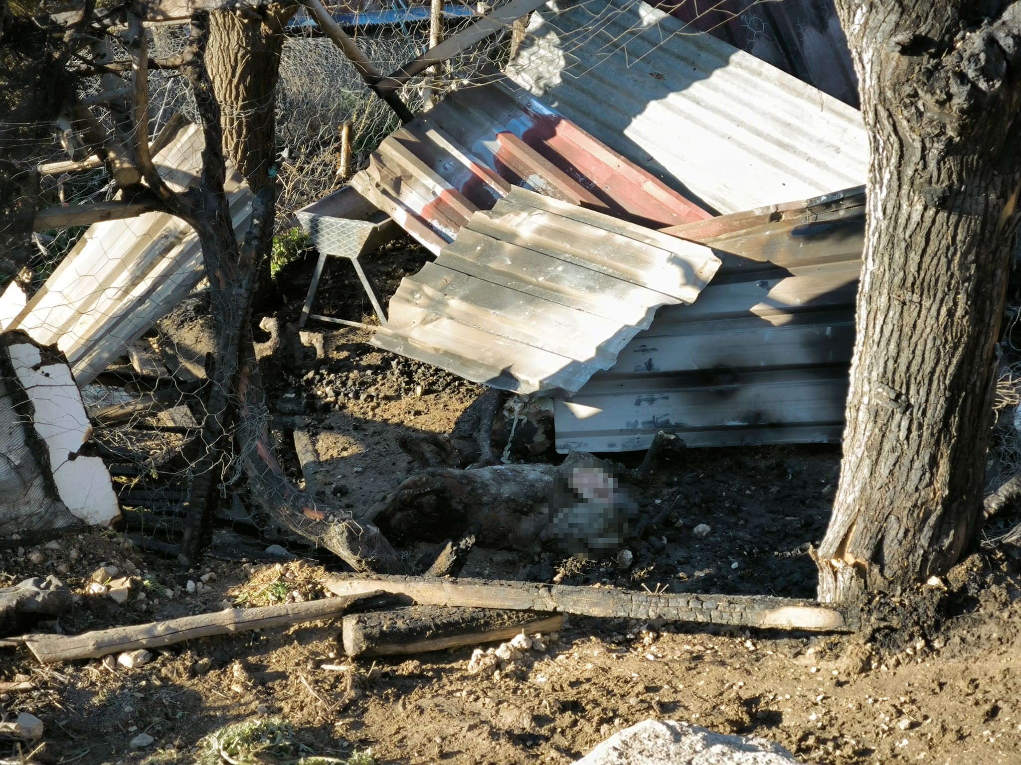 Karaman’da yangın: 11 küçükbaş hayvan telef oldu