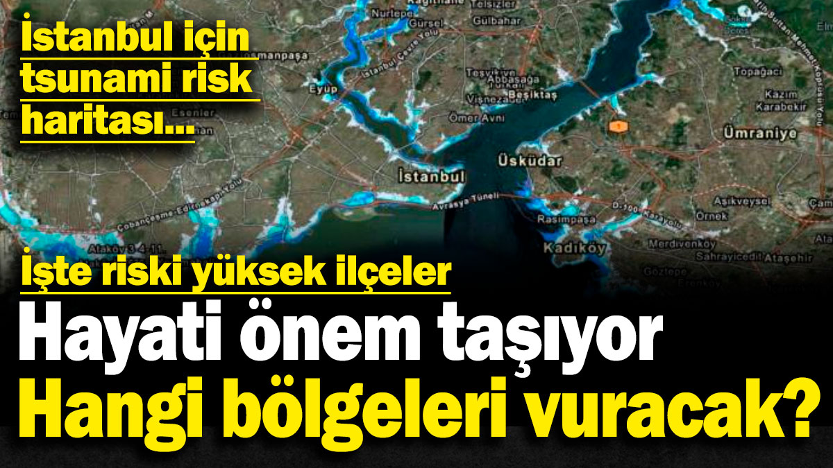 İstanbul için tsunami risk haritası! Hayati önem taşıyor! Hangi bölgeleri vuracak?