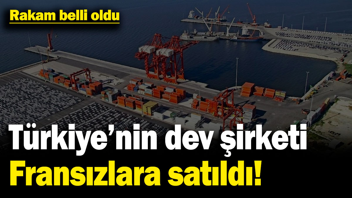 Türkiye'nin dev şirketi Fransızlara satıldı!