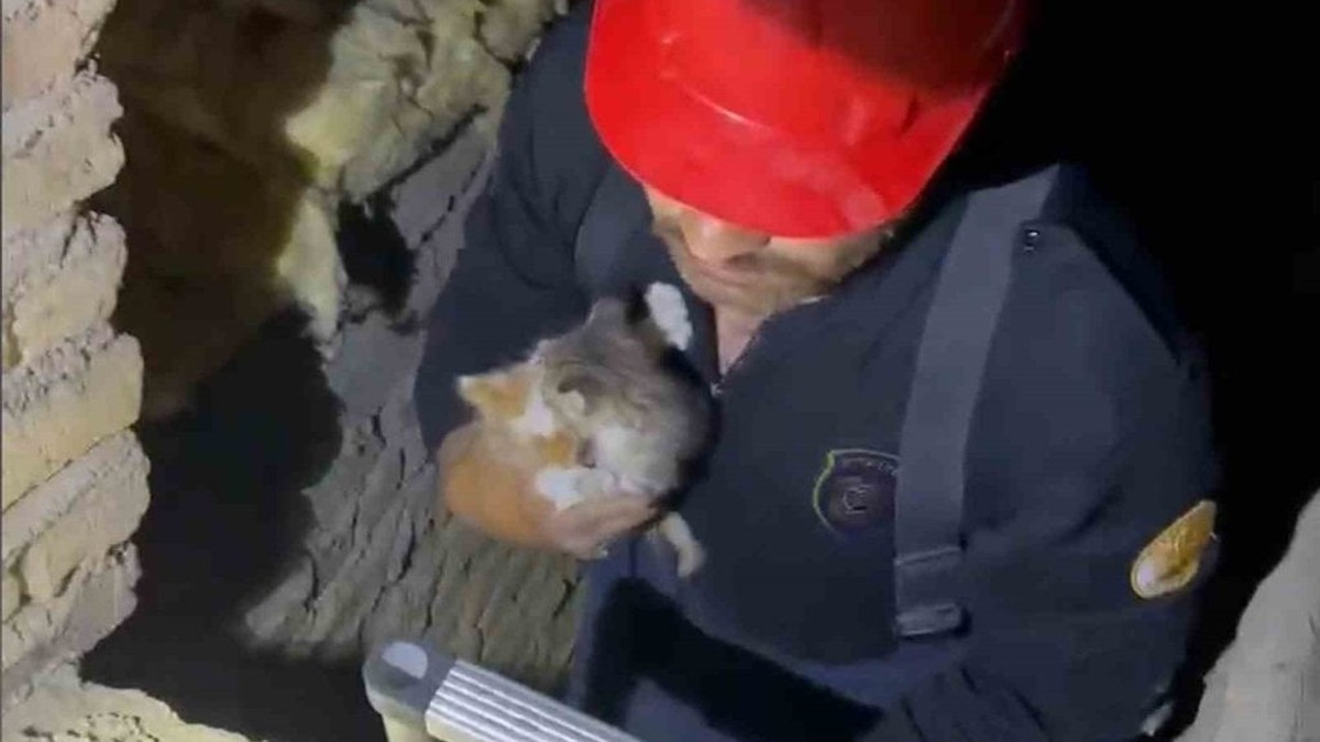 Kırıkkale'de havalandırma boşluğuna düşen yavru kediler kurtarıldı
