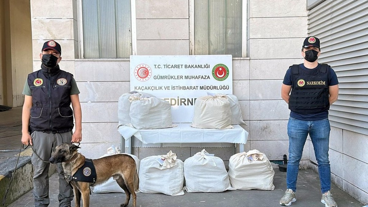 Kapıkule'de 87 kilo esrar ele geçirildi