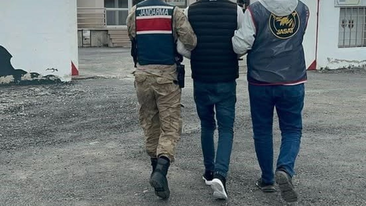 Ardahan'da hırsızlık şüphelisi tutuklandı