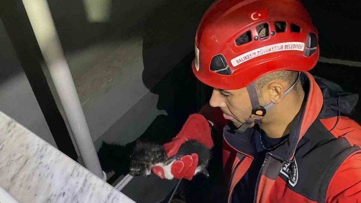 Gömeç'te itfaiye, apartman boşluğuna düşen yavru kediyi kurtardı
