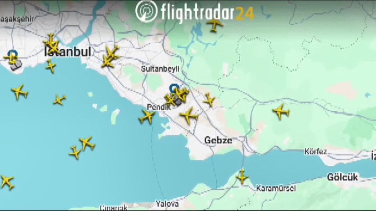 Sabiha Gökçen Havalimanı'nda pistte ördek paniği