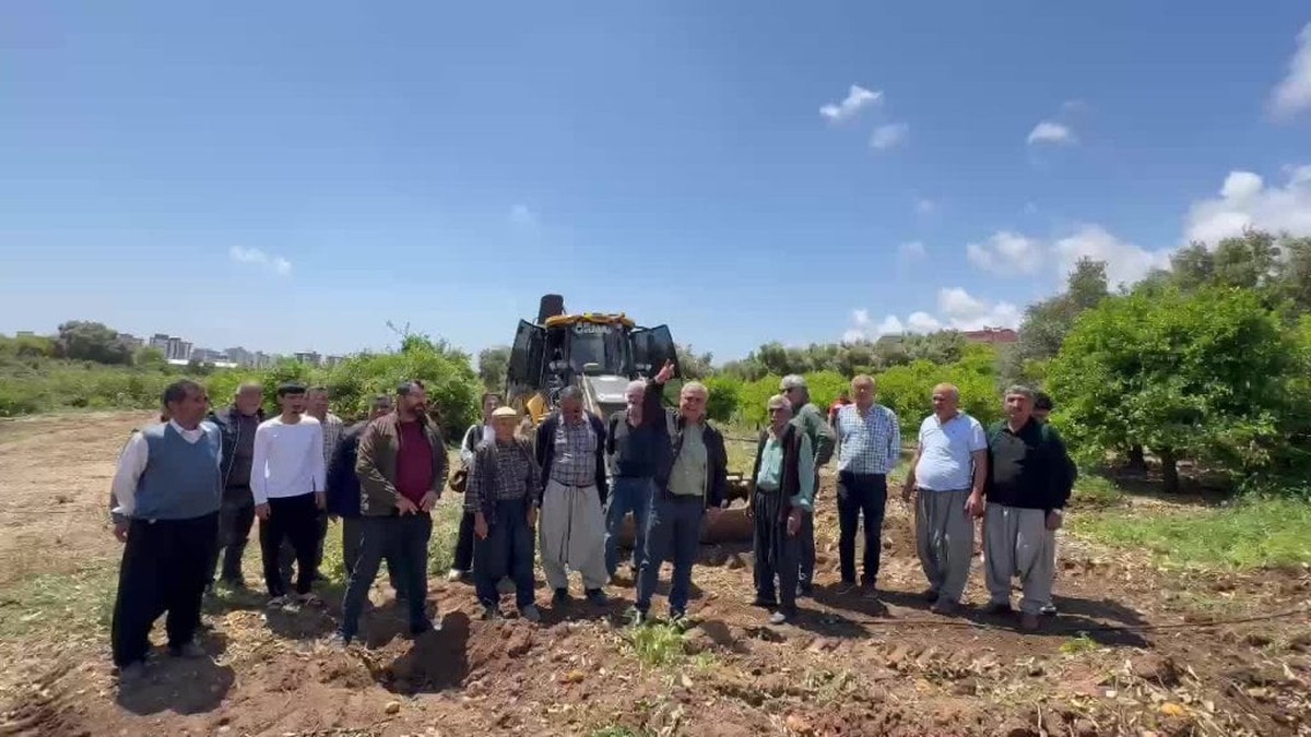 Mezitli'de yetişkin narenciye ağaçları kesildi
