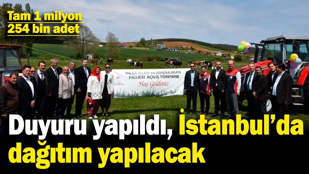 Duyuru yapıldı! İstanbul'da dağıtım yapılacak! Tam 1 milyon 254 bin adet