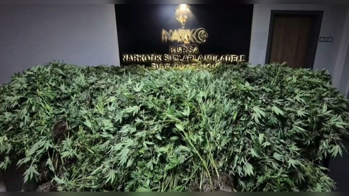 Bursa'da büyük uyuşturucu operasyonu: 5 kilodan fazla uyuşturucu ve 41 şüpheli yakalandı