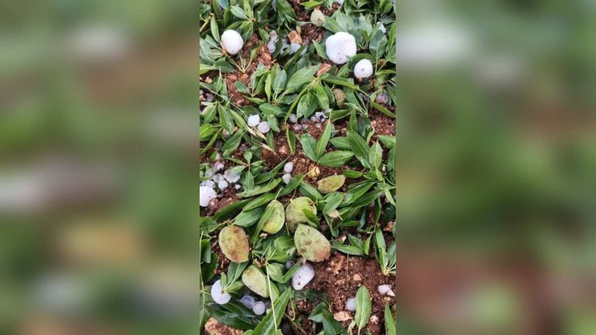 Adıyaman'da ceviz büyüklüğünde dolu felaketi