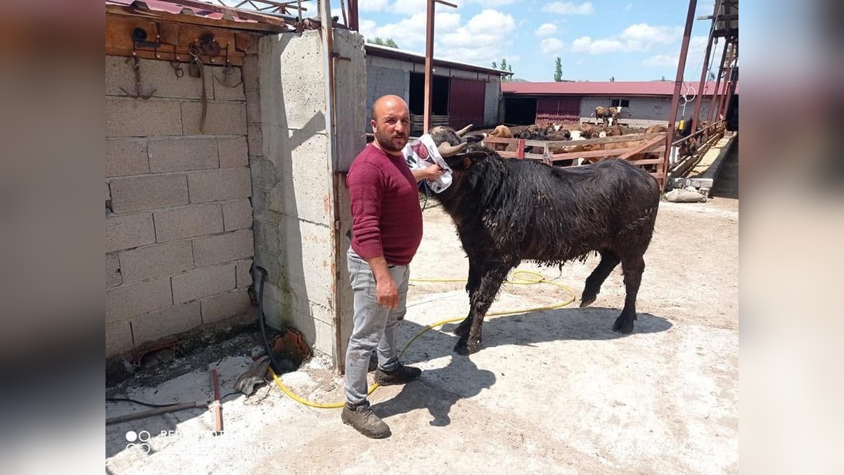 Arazı Kavgası Ölümle Sonuçlandı