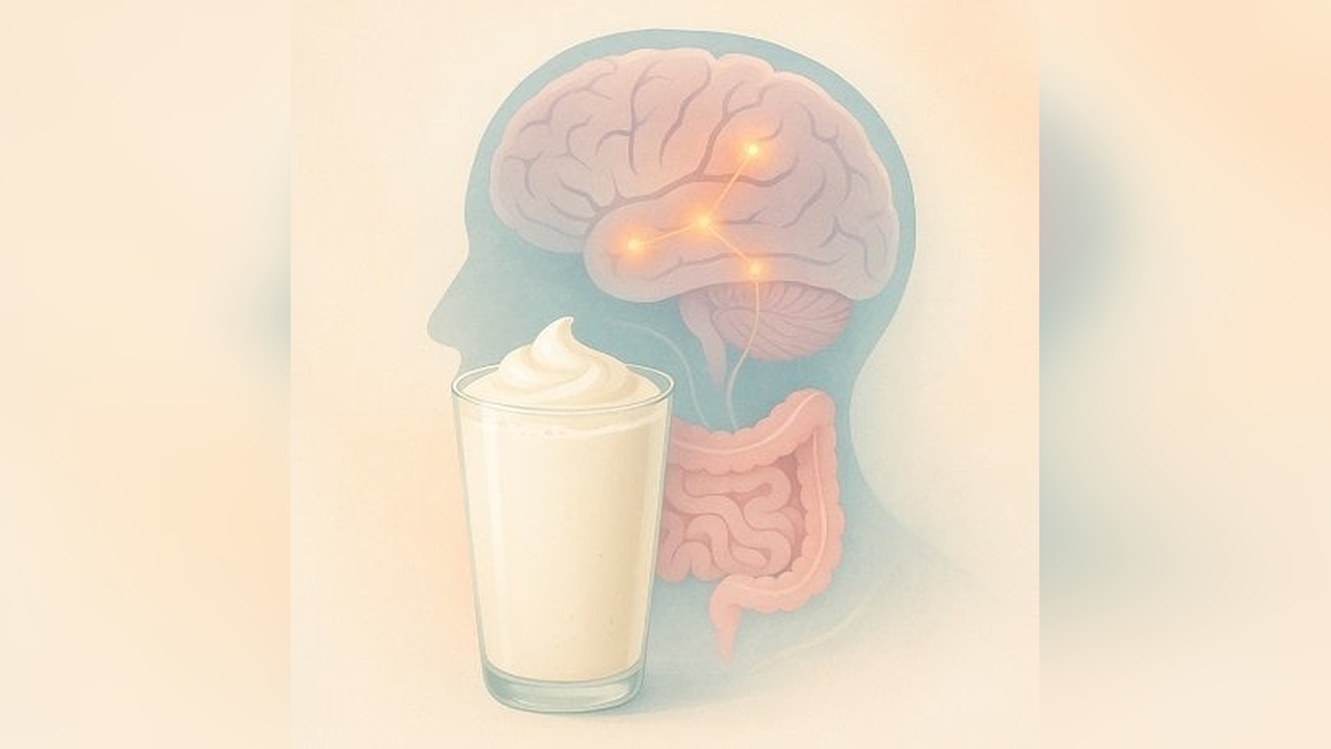 Kefir, Alzheimer'da Koruyucu Etki Gösterebilir mi?
