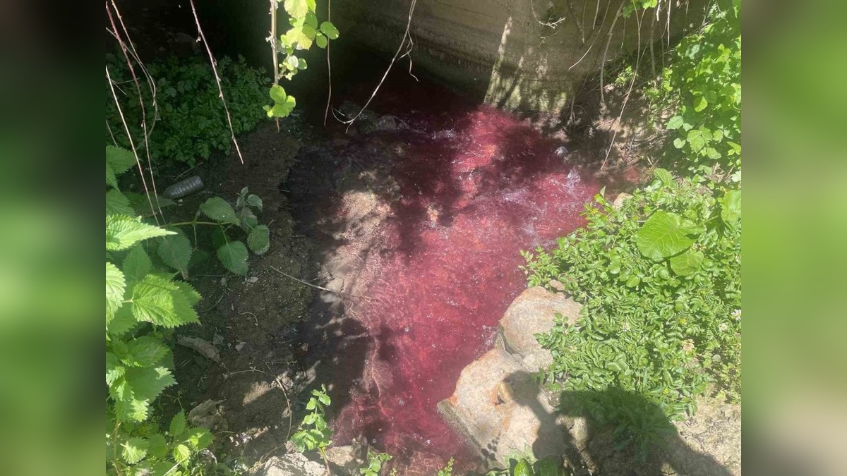 Gedelek Deresi'nin Kirliliği Bursa'da Çiftçileri ve Uzmanları Tedirgin Ediyor