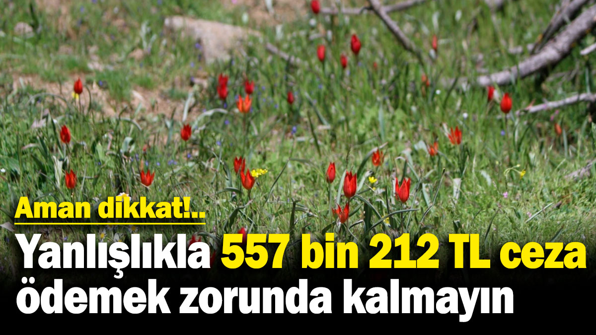 Aman dikkat!.. Yanlışlıkla 557 bin 212 TL ceza ödemek zorunda kalmayın
