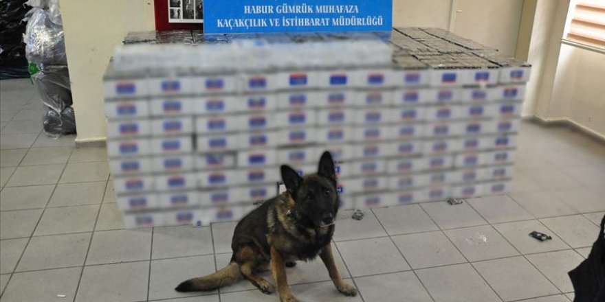 Sınır'da 74 bin paket kaçak sigara ele geçirildi